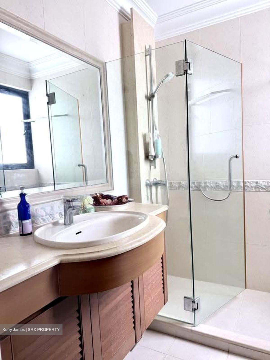 Regency Park (D10), Condominium #631976661